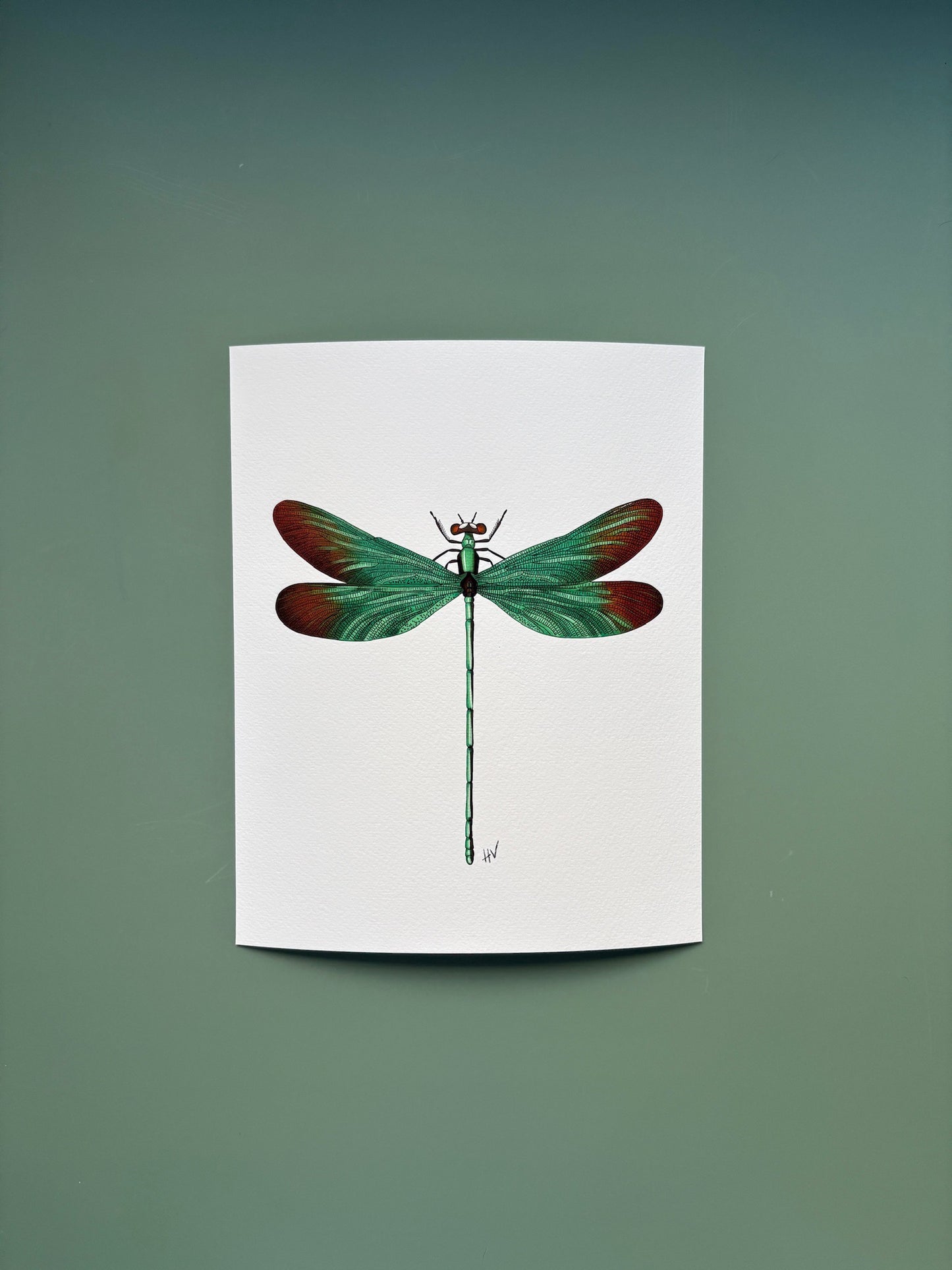 Dragonfly Fine Art Print