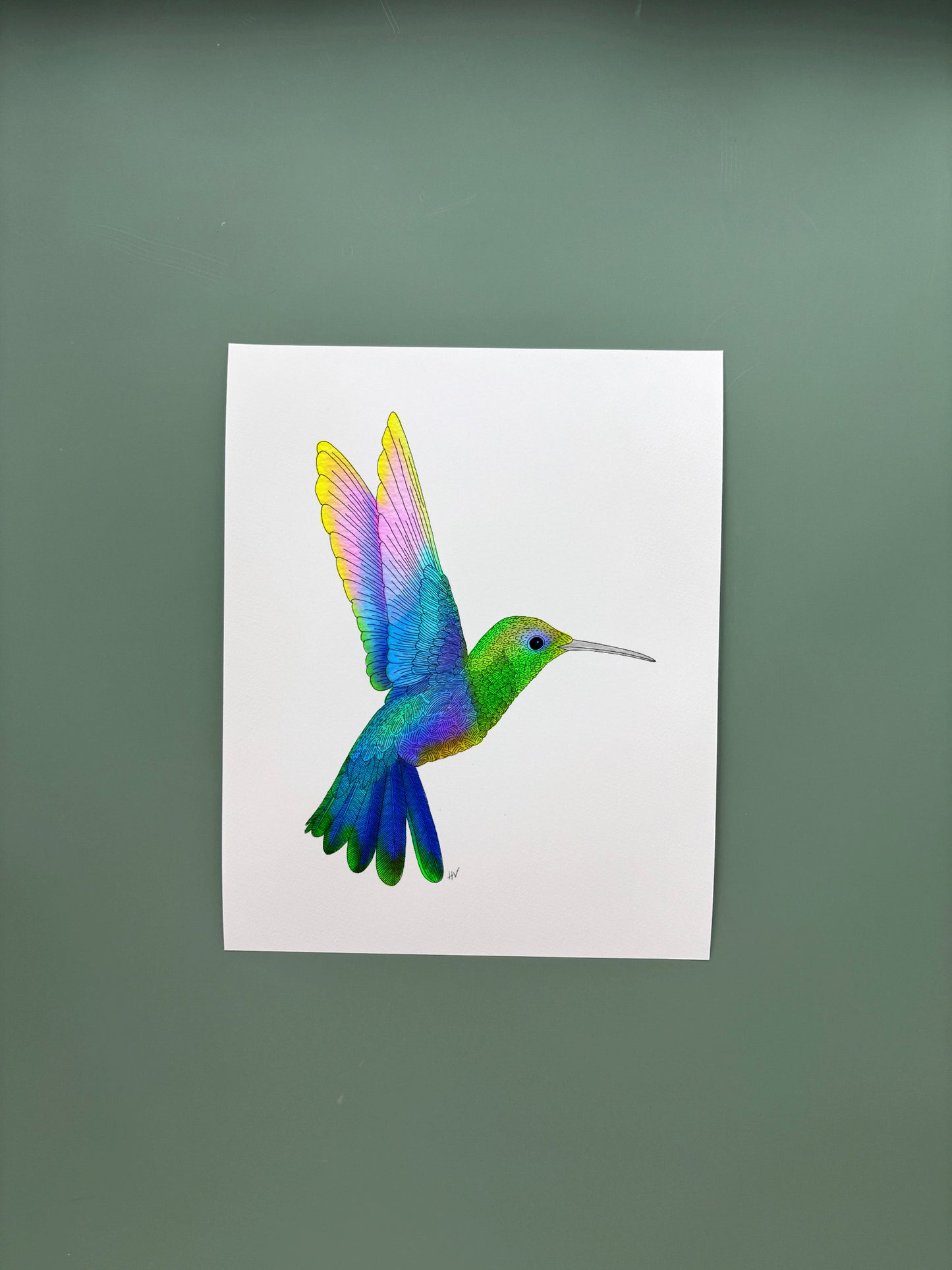 Hummingbird Fine Art Print