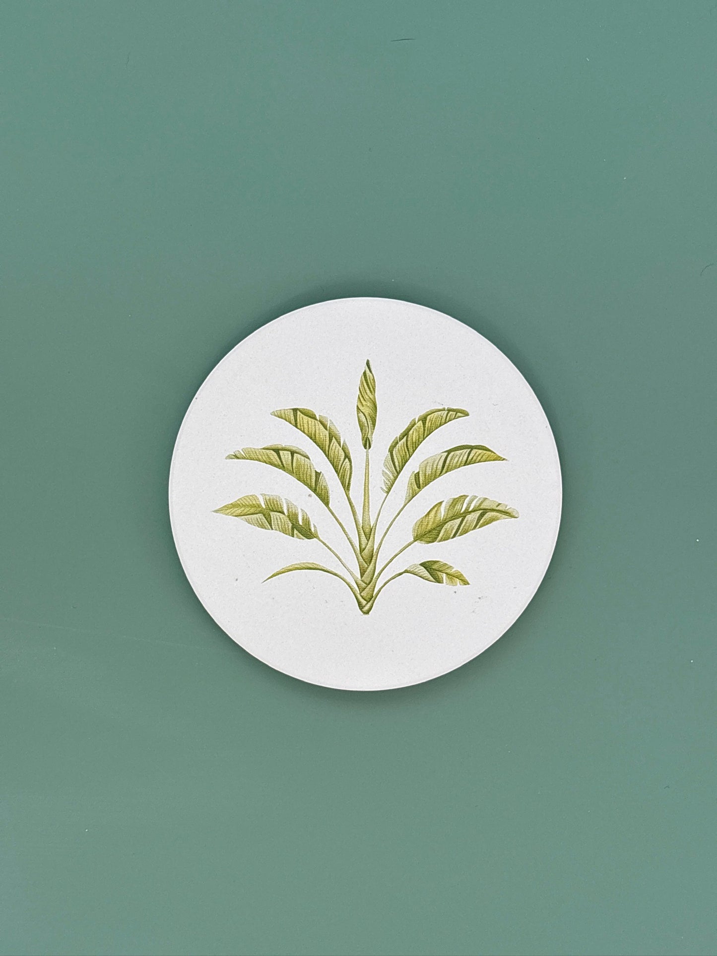Palm Leaf Coaster