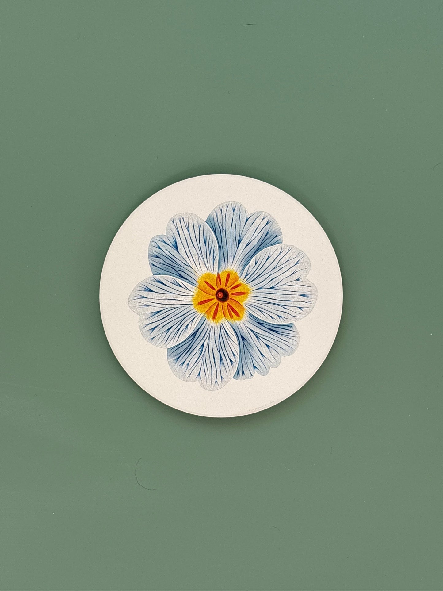 Primrose Coaster