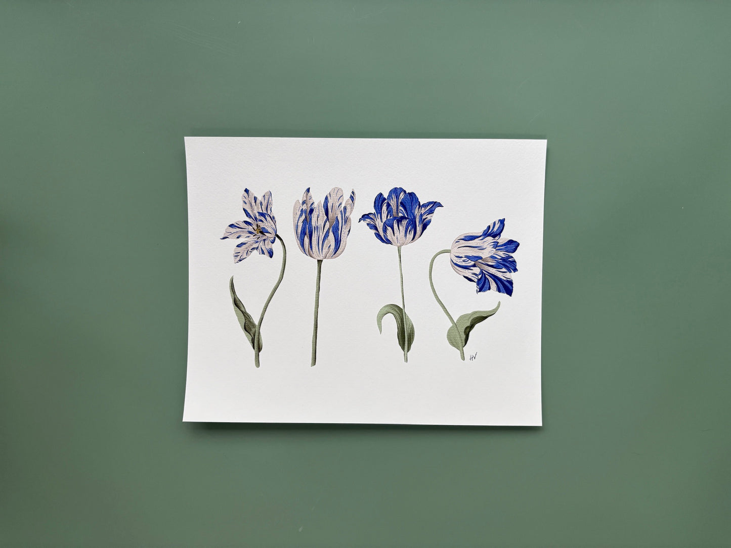 Tulip Azul Fine Art Print