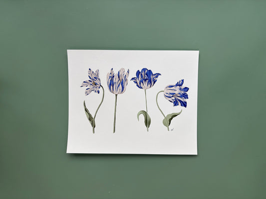Tulip Azul Fine Art Print