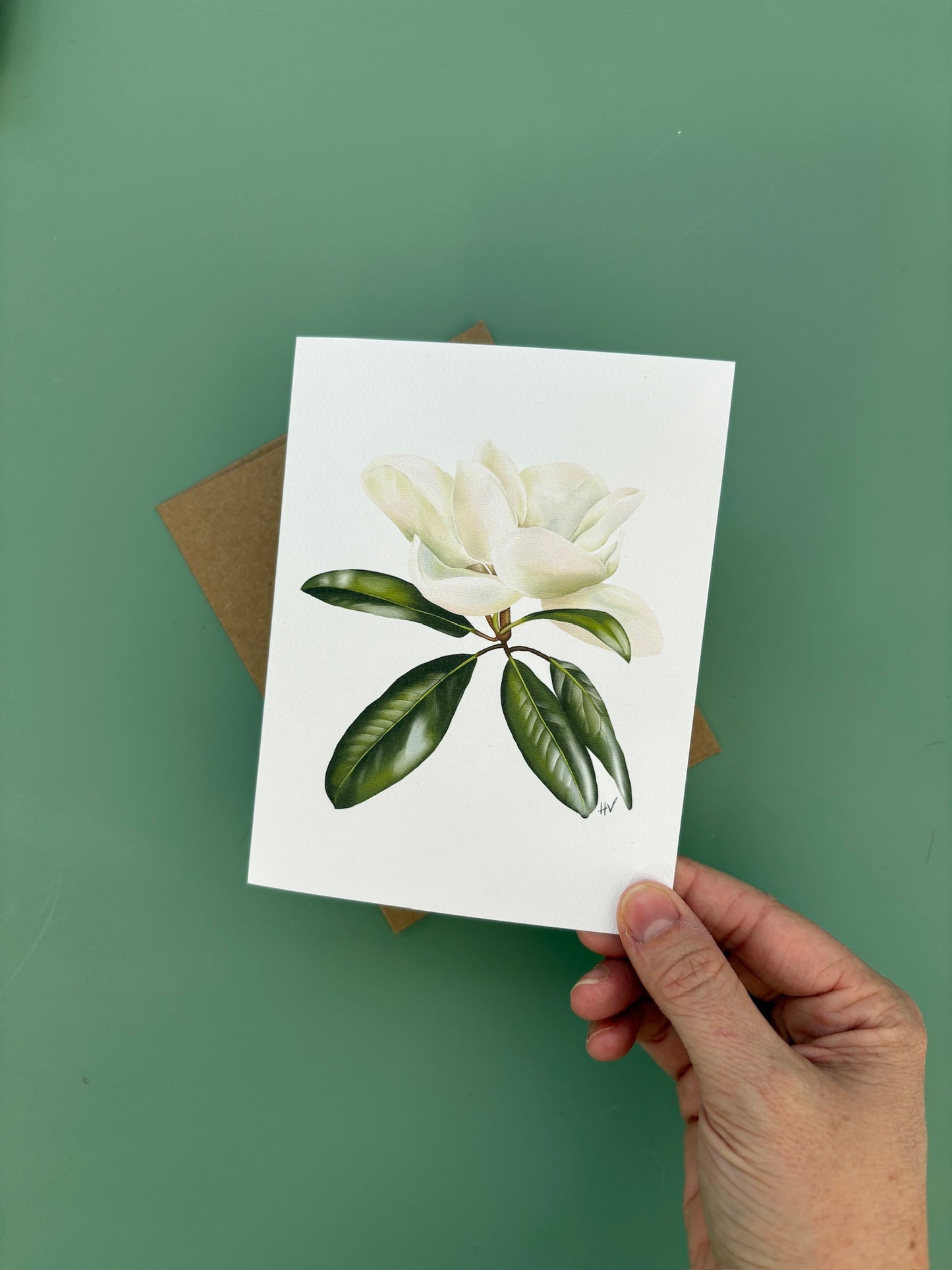 Magnolia Greeting Card