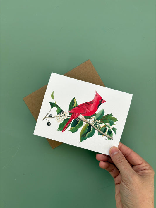 Cardinal Greeting Card