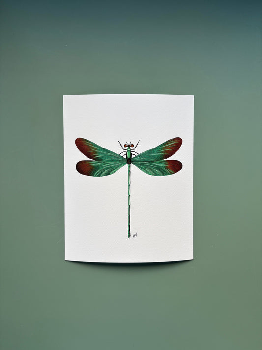 Dragonfly Fine Art Print