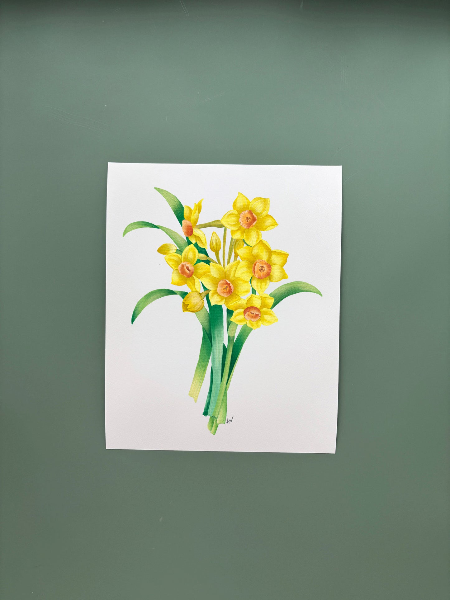 Daffodil Fine Art Print