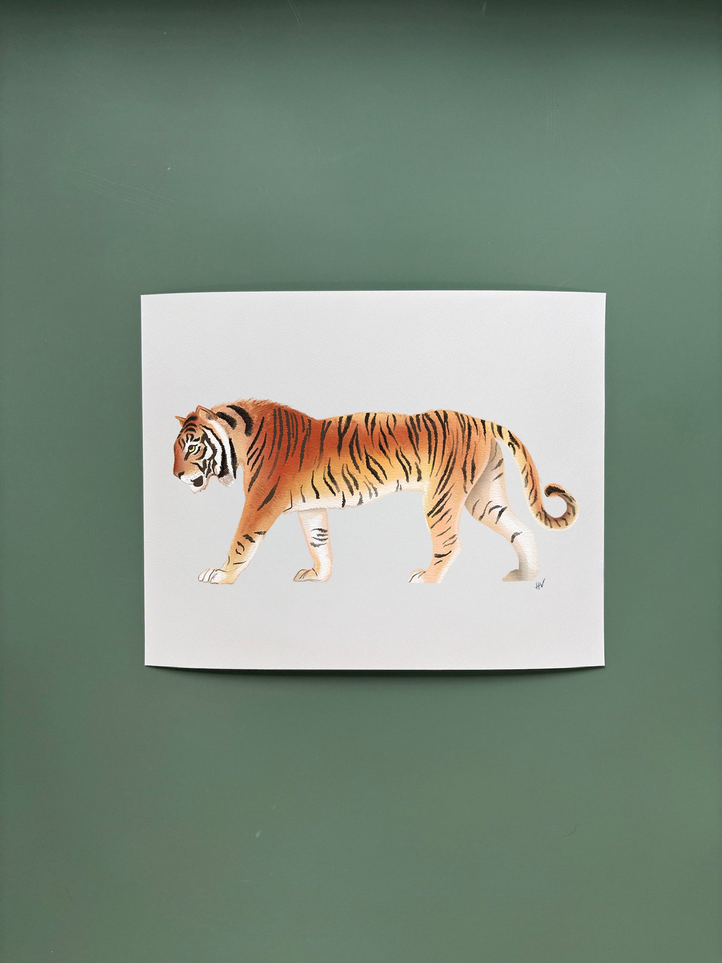 Tiger Fine Art Print