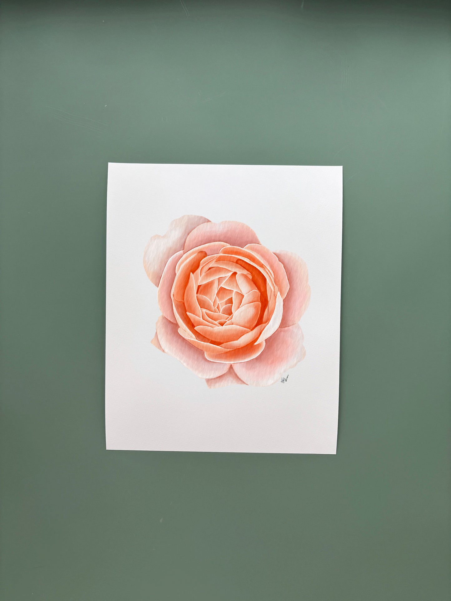Rose Fine Art Print