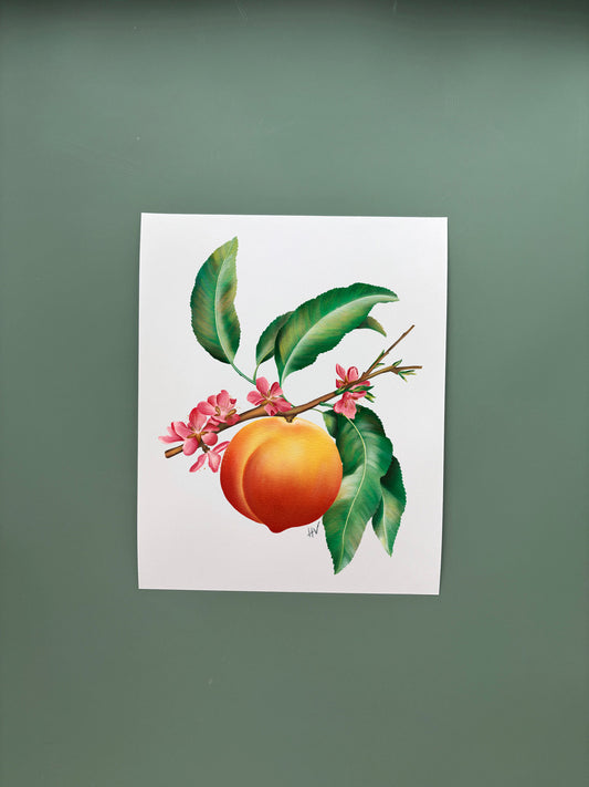 Peach Fine Art Print